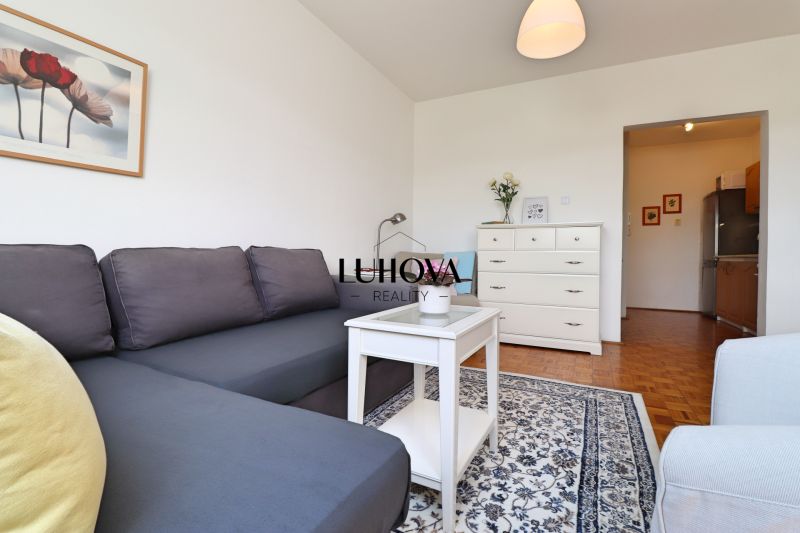 Wohnzimmer in einer Zweizimmerwohnung mit einem Sofa und einem Boden in Holzoptik.