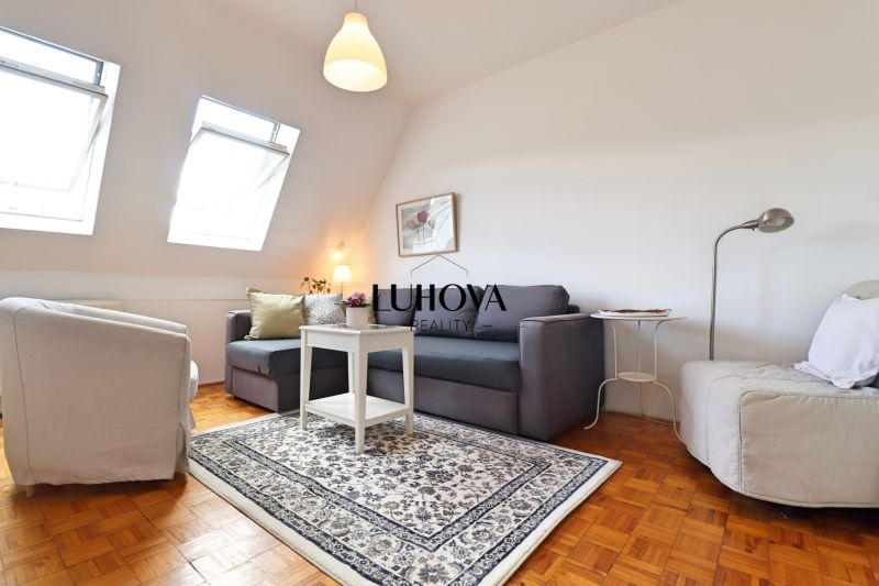 Wohnzimmer in einer 2-Zimmer-Wohnung mit Sofa, Sessel und Teppich, Boden mit Holzdekor.