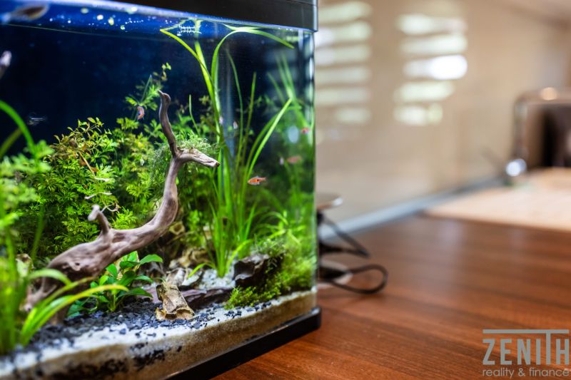 Aquarienfische und Pflanzen in einer 3-Zimmer-Wohnung mit Holzboden.