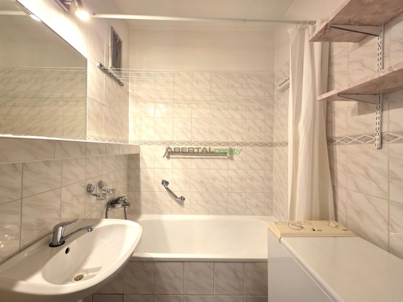 Badezimmer mit Dusche und Badewanne in einer Einzimmerwohnung.