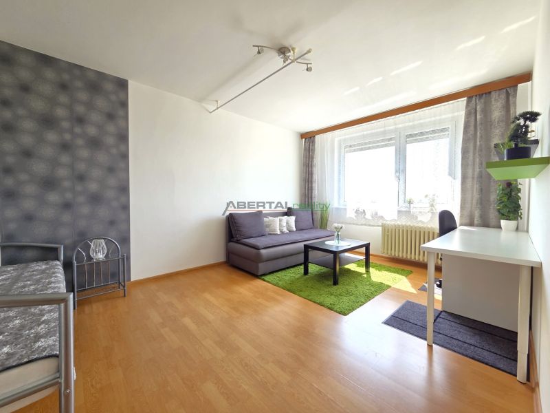 1-Zimmer-Wohnung mit Sofa, Schreibtisch, Teppich und Holzboden.