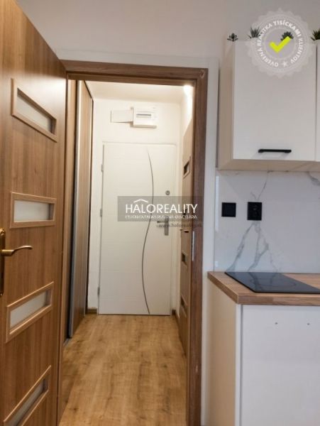 Einzimmerwohnung mit Küchenarbeitsplatte und Boden in Holzoptik.
