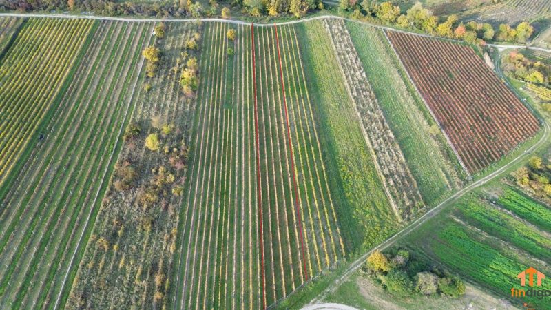 dji_fly_20251019_163556_166_1760884826968_photo.jpg