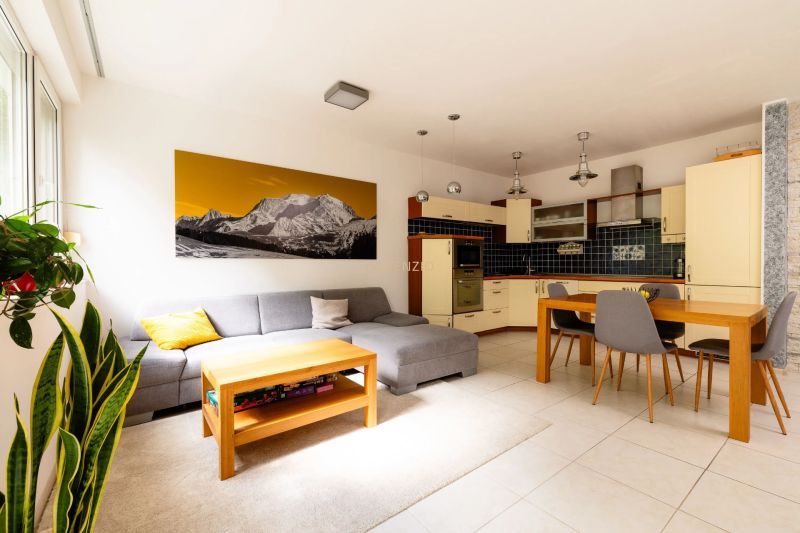 Wohnzimmer mit Küchenzeile, Sofa und Tisch in einer 2-Zimmer-Wohnung.