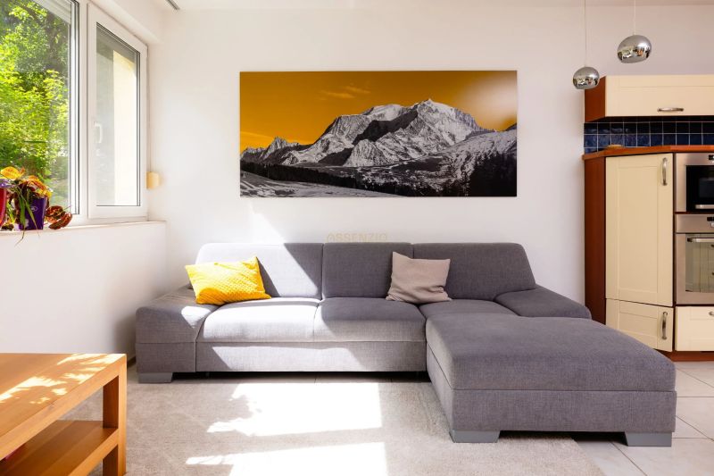 Wohnzimmer in einer 2-Zimmer-Wohnung, graues Sofa, Bild von Bergen, helle Wände.