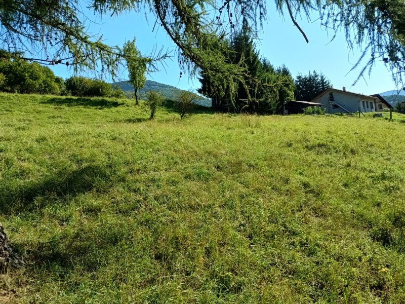 IMG_20250813_092319804_HDR.jpg