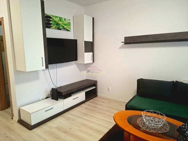 Wohnbereich eines Einzimmerapartments mit Fernseher, Schränken, Sofa, Holzboden.