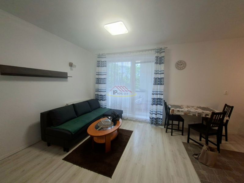 Einzimmerwohnung mit Holzboden, Sofa, Couchtisch und Esstisch.