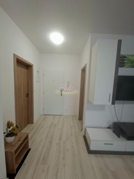 Ein Flur mit weißen Wänden, einem Boden in Holzoptik und einem Schrank in einem Einzimmerapartment.