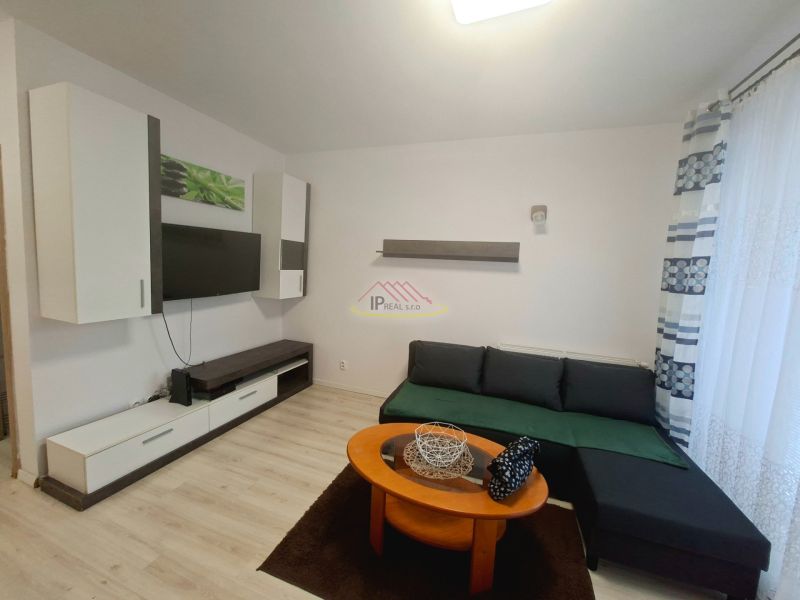 Einzimmerwohnung mit Sofa, Couchtisch und Boden in Holzoptik.