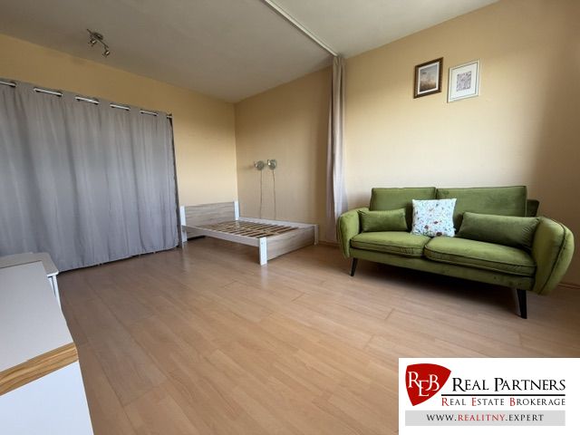 Ein Zimmer in einer Einzimmerwohnung mit einem Sofa, einem Bett und einem Boden in Holzoptik.