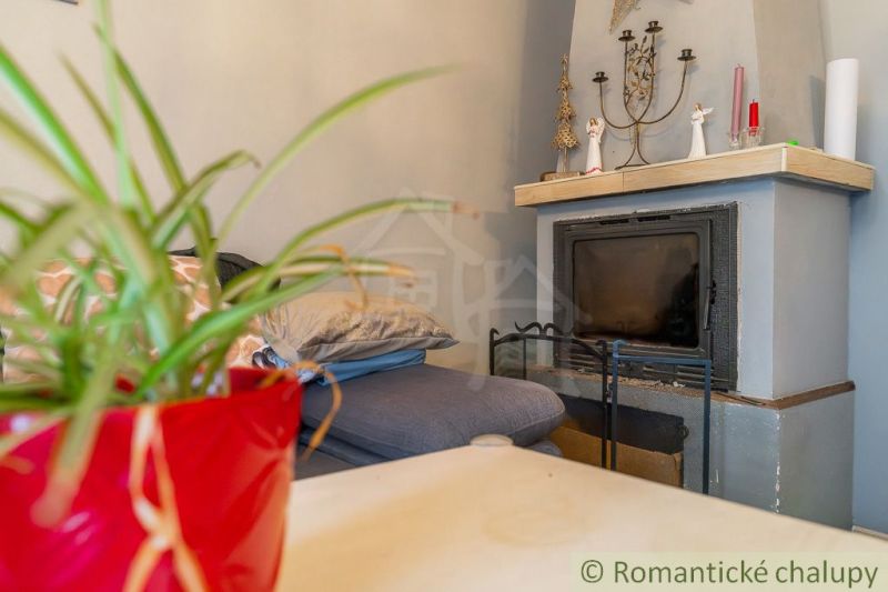 In einem Einfamilienhaus gibt es ein Sofa, einen Kamin, Dekorationen und eine Zimmerpflanze in einem roten Blumentopf.