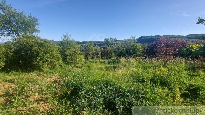 Grünflächen, Bäume und Rasenflächen in den Gärten von Podkylava mit Bergen im Hintergrund.