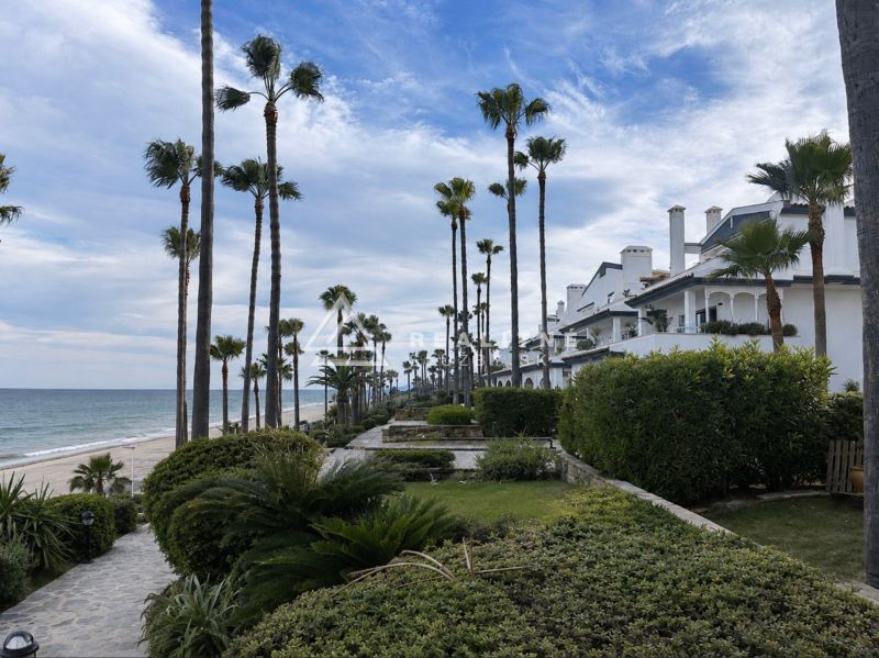 Blick auf den Strand und die Palmen an der Dominion Beach Straße in Estepona.