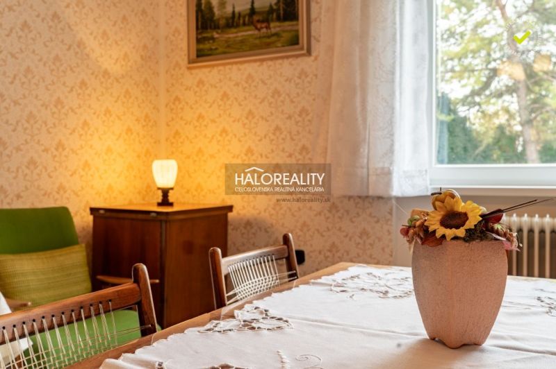 Ein Zimmer in einem Einfamilienhaus mit Möbeln, einem Lama und einem Fenster mit Aussicht.