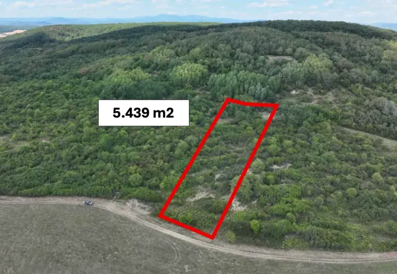 Landwirtschaftliche und forstwirtschaftliche Grundstücke in Tornaľa mit einer Fläche von 5.439 m², umgeben von Grünflächen.
