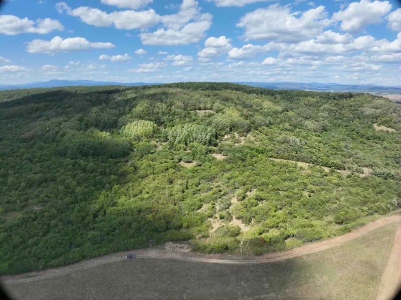 Bewaldete landwirtschaftliche und forstwirtschaftliche Flächen in der Umgebung von Tornaľa unter blauem Himmel.