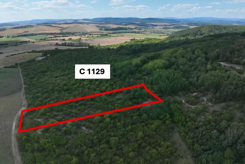 Landwirtschaftliche und forstwirtschaftliche Grundstücke in Tornala mit markiertem Gebiet und malerischer Umgebung.