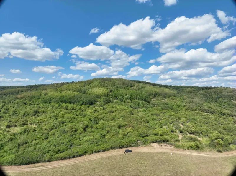 Landwirtschaftliche und forstwirtschaftliche Flächen in Tornaľa mit schönen grünen Hügeln und blauem Himmel.