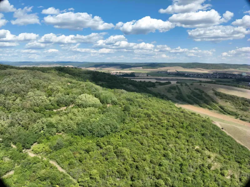 Hügelige grüne Landschaft und ausgedehnte landwirtschaftliche und forstwirtschaftliche Flächen in Tornaľa an einem klaren Tag.