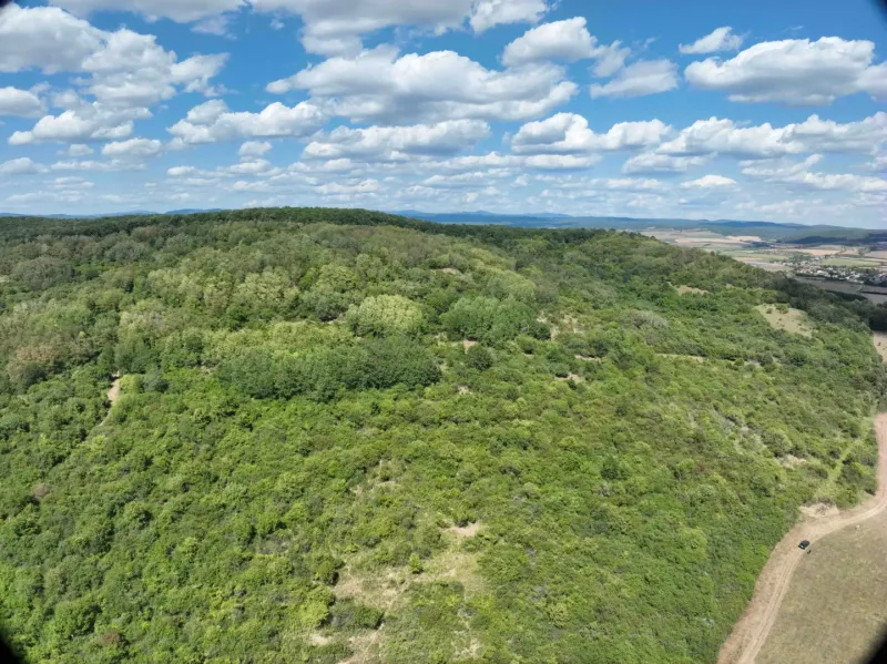 Wiesen und Wälder rund um Tornele, landwirtschaftliche und forstwirtschaftliche Flächen, unter blauem Himmel.