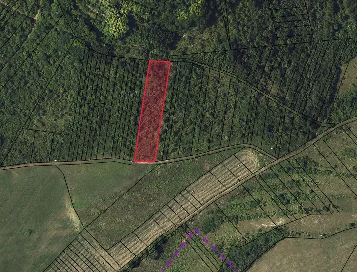 Landwirtschaftliche und forstwirtschaftliche Grundstücke in Tornaľa, deutliche Abgrenzung des Grundstücks in roter Farbe.
