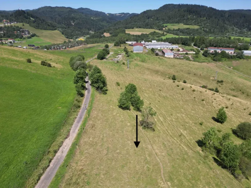 Die Landschaft in der Umgebung von Stará Ľubovňa mit besonderen Immobilien mitten in der Natur.