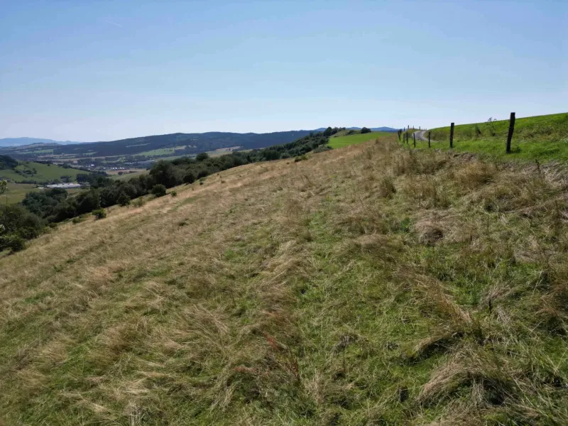 Die Landschaft in Stará Ľubovňa mit besonderen Immobilien bietet einen Blick auf Weiden und Hügel.