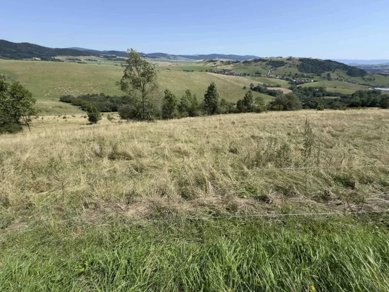 Hügelige Landschaft und Wiesen mit Aussicht in der Gegend von Besonderen Immobilien in Stará Ľubovňa.