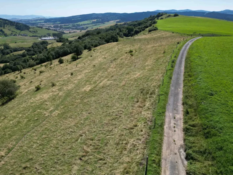 Hügelige Landschaft mit grünen Wiesen und einem Feldweg bei der Stadt Stará Ľubovňa, Besondere Immobilien.