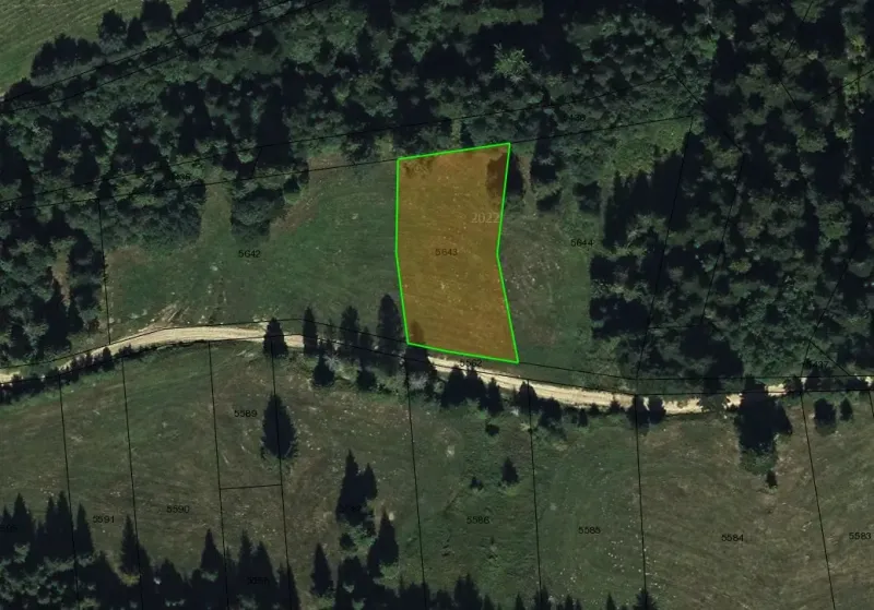 Eine Wiese mit grünen Grundstücksgrenzen, umgeben von Wäldern in Stará Ľubovňa - Besondere Immobilien.