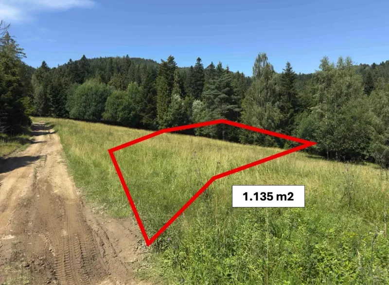 Grundstück am Waldrand im Gebiet von Stará Ľubovňa, mit einer ausgewiesenen Fläche von 1.135 m², Besondere Immobilien.