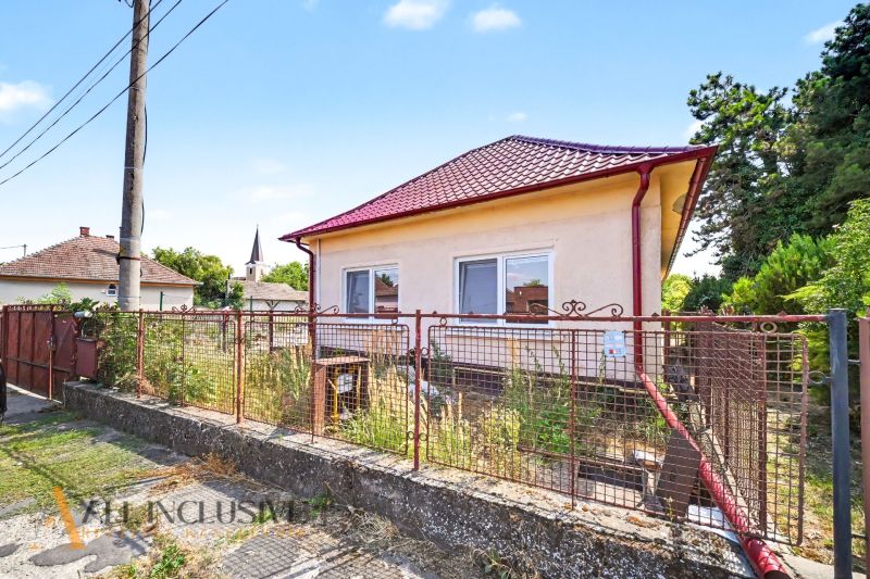 Ein Einfamilienhaus in Vydrany mit rotem Dach, Umzäunung und einem Garten voller Vegetation.