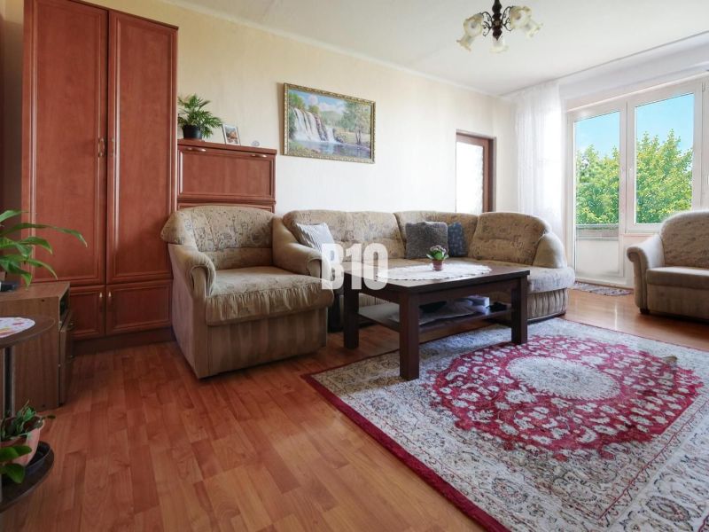 Wohnzimmer mit Sofa, Teppich und Holzboden in einer 2-Zimmer-Wohnung.
