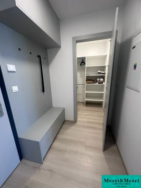Eingangsflur mit Schrank und Boden in Holzoptik in einer 2-Zimmer-Wohnung.