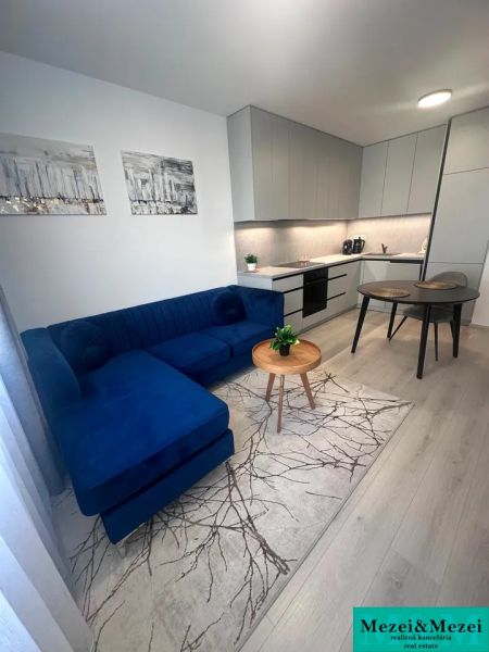 Wohnzimmer mit Küche in einer 2-Zimmer-Wohnung, Holzboden, dunkelblaue Couch.