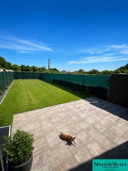 Die Terrasse des Einfamilienhauses in Trnava mit Pflastersteinen und grünem Rasen, der Hund ruht sich aus.