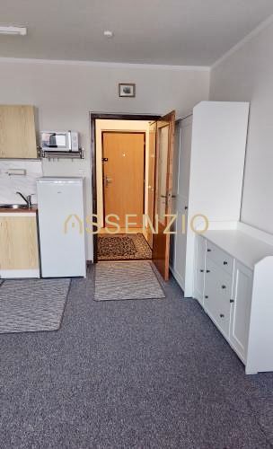Einzimmerwohnung mit Kühlschrank, Schrank und Boden in Holzoptik.