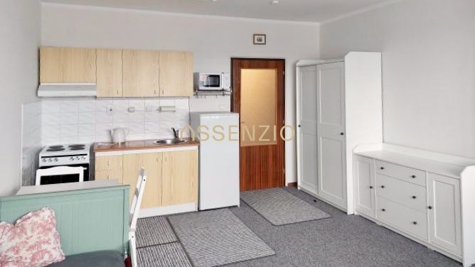 Küchenzeile und Möbel in einem Einzimmerapartment mit Teppich und weißer Kommode.