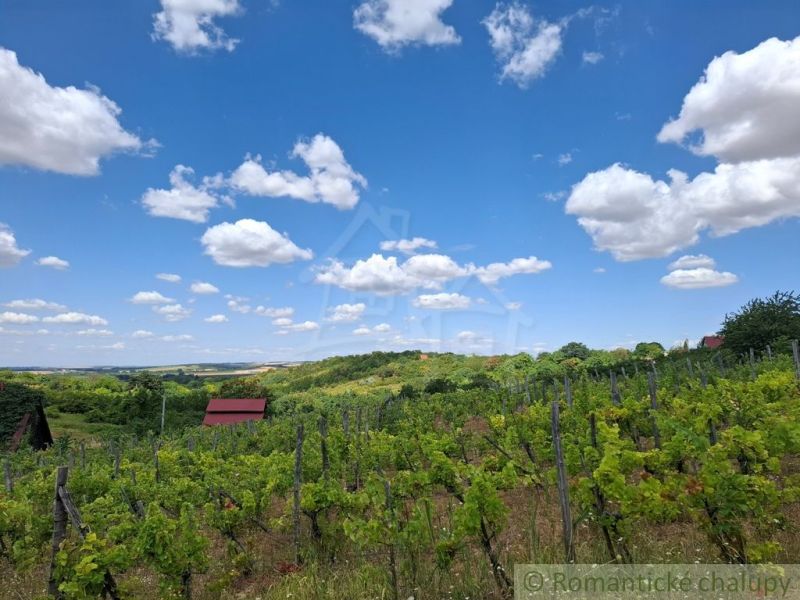 Weinberge und Hütten in Gbelce unter klarem blauem Himmel mit Wolken.