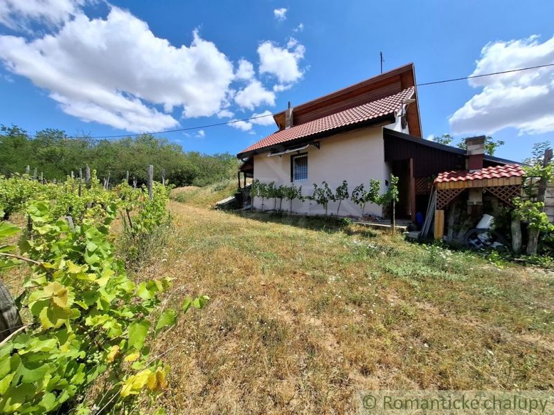 Ein Haus bei Gbelce, umgeben von Weinreben und grüner Landschaft unter blauem Himmel.