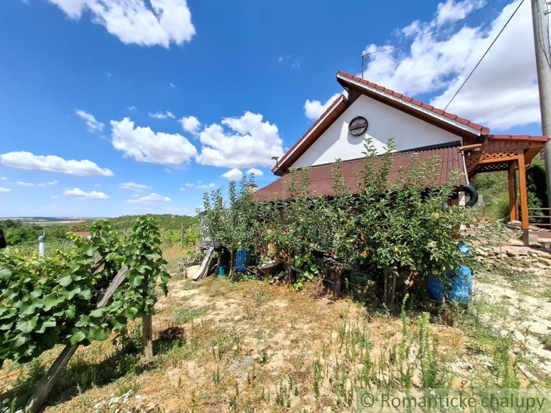 Ein Häuschen in Gbelce, umgeben von Weinreben und Grün unter blauem Himmel.