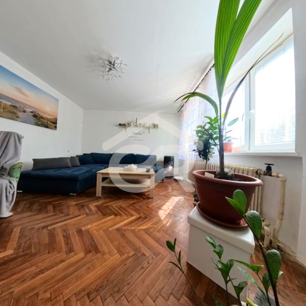 Wohnzimmer in einem Einfamilienhaus mit Sofa, Pflanzen und Holzboden.