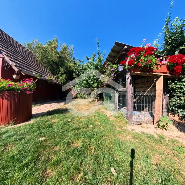 Ein Garten mit grünem Gras und Blumen bei einem Einfamilienhaus in Tesárske Mlyňany in der Školská-Straße.