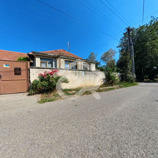 Ein Einfamilienhaus in der Školská-Straße in Tesárske Mlyňany mit blühenden Sträuchern am Zaun.