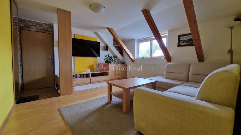 Wohnzimmer in einer 2-Zimmer-Wohnung mit Sofa, Dachbalken und Boden in Holzoptik.