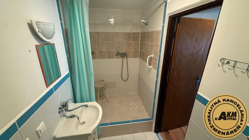 Badezimmer mit offener Dusche und Waschbecken in einem Einfamilienhaus.