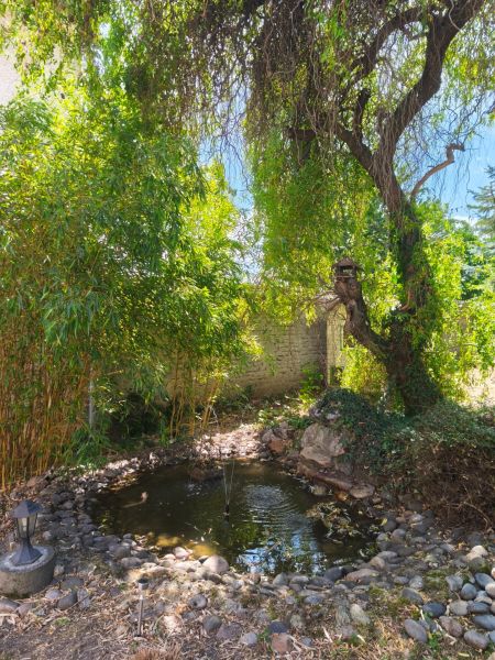 Garten mit Teich und Bäumen in einem Einfamilienhaus in Mankovce.
