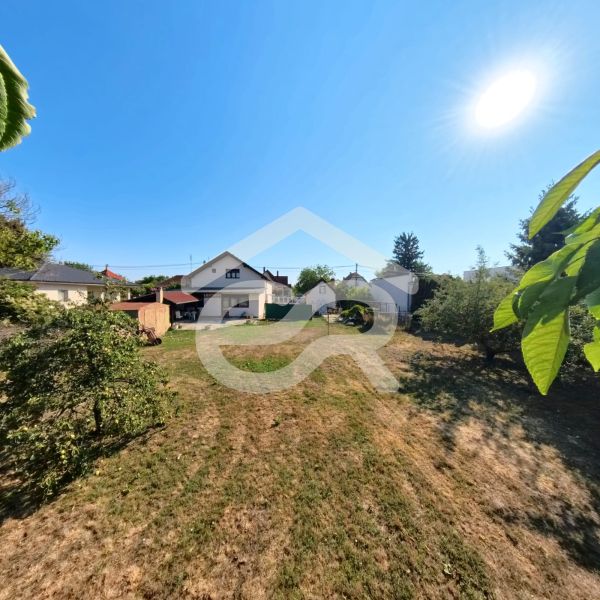 Garten bei einem Einfamilienhaus in der Prenosilova-Straße in Mojmírovce mit Rasen und Bäumen.