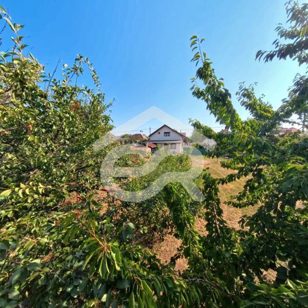 Einfamilienhaus in der Prenosilova-Straße in Mojmírovce mit Blick durch das Grün.
